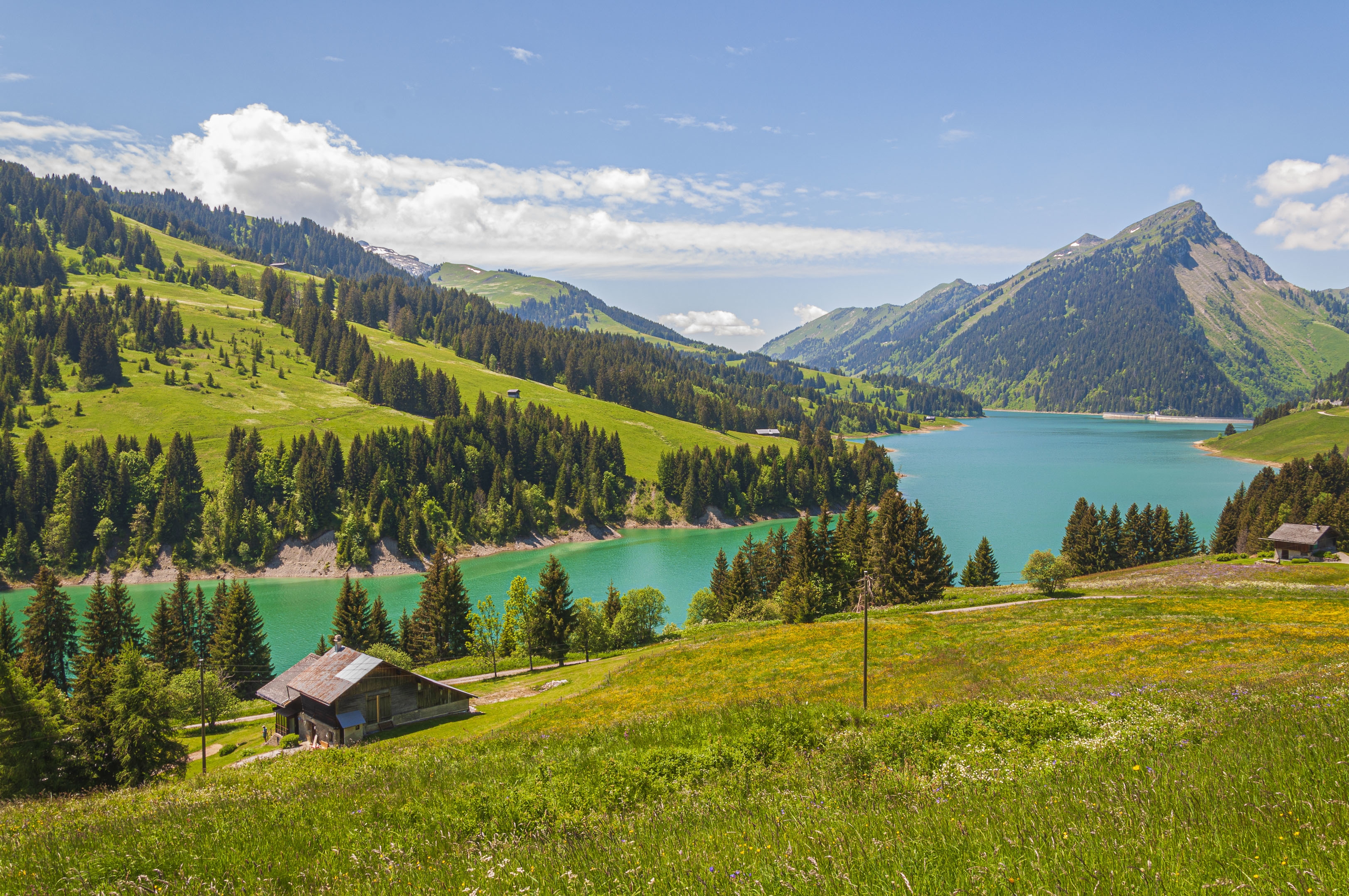 Swiss Alps Romantic Tour